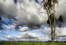 V体育官方网站:克罗地亚中场莫罗:法国踢得很好,点球大战就像是运气的较量.