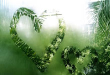 V体育官方网站：安东尼上半场给佩工“指导”战术，下半场贝蒂斯完成让二追三.