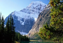 竞者 ｜ 34岁孙杨终究不敌岁月，低谷时的坚守却比金牌更耀眼.