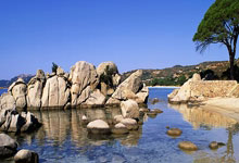 V体育官方网站：[图]英超-阿玛德救主 利物浦2-2曼联6分领跑积分榜.